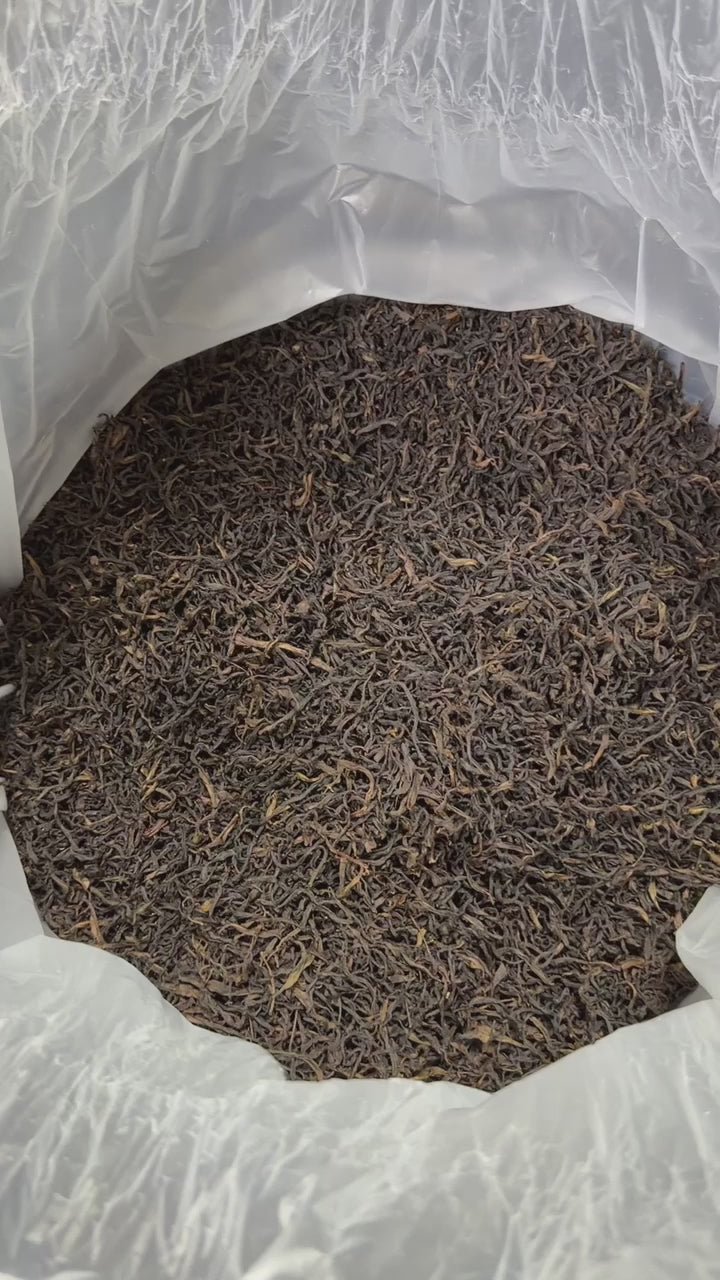 Old Tree Songzhong Phoenix Dancong Oolong Tea